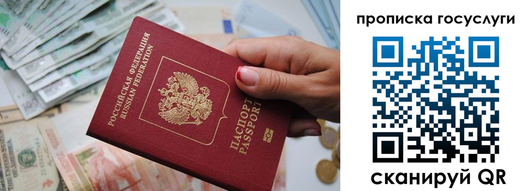 прописка поиск в Опочке